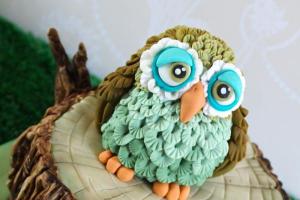 Cake in the form of an owl: decorate with cream and mastic Cake in the form of an owl from mastic