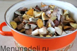 Mushroom solyanka made from fresh mushrooms for the winter in jars