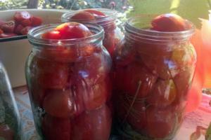 How to Can Cherry Tomatoes Recipe for Canning Chili Tomatoes in Tomato