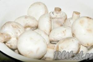 Freezing champignons in a home refrigerator: the best ways Preparing champignons for the winter by freezing