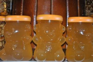 아카시아 꿀의 유용한 특성과 금기 사항 아카시아 꿀이 왜 유용한가요?