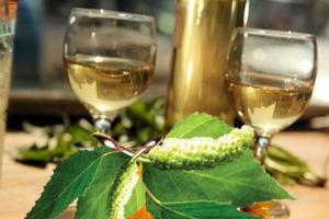Recipe for homemade wine from birch sap A simple recipe for wine from birch sap