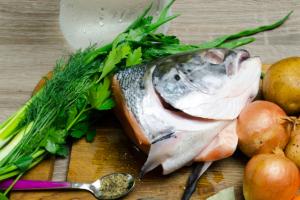 연어 머리로 생선 수프를 올바르게 준비하는 방법