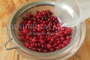 Recipes for making cranberry jelly from fresh and frozen berries