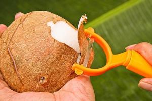 How to split a coconut at home How to split a coconut at home