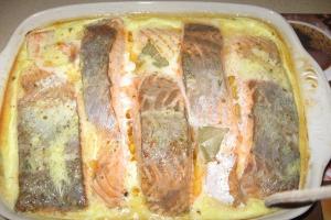 Salmon in cream sauce